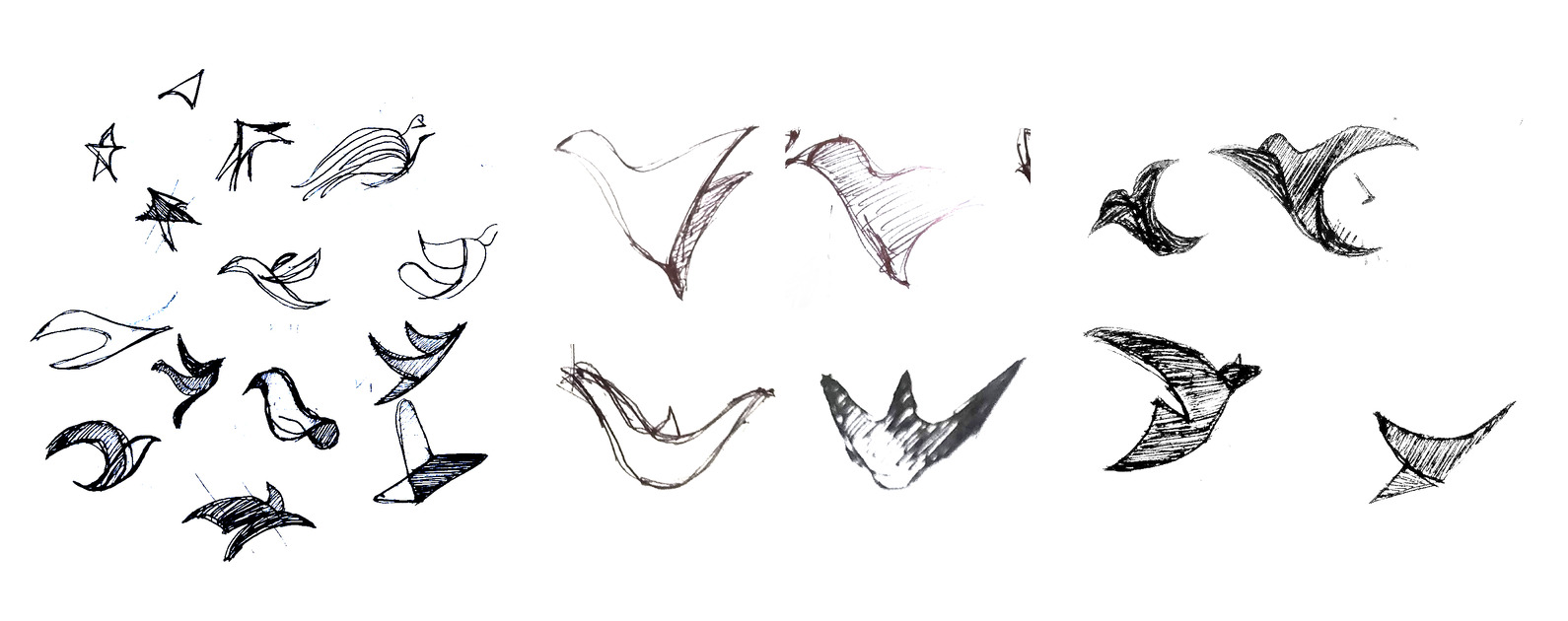 Studio ink studies — dozens of birds sketched in flight to find the right silhouette and gesture.